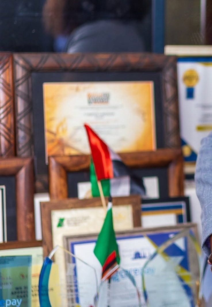 A selection of Tandi Mapolisa's awards and honours